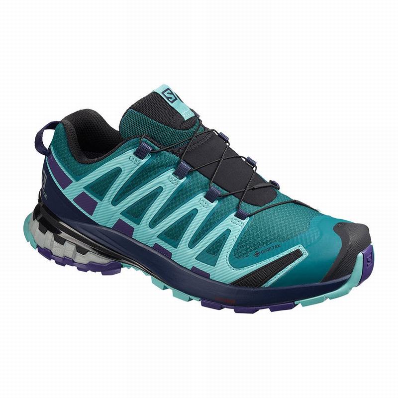 SALOMON XA PRO 3D V8 GORE-TEX Philippines - Women's Hiking Shoes - Blue | 140839-QCM